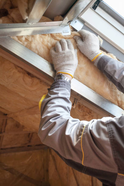 Best Insulation Maintenance and Repair in USA